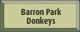 Bol Park Donkeys